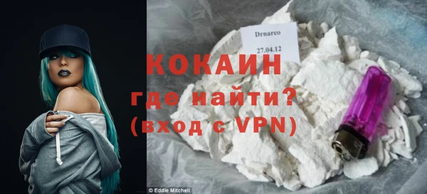 твердый Осинники