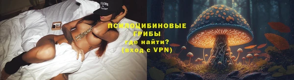 apvp Остров